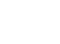 OTR Bison
